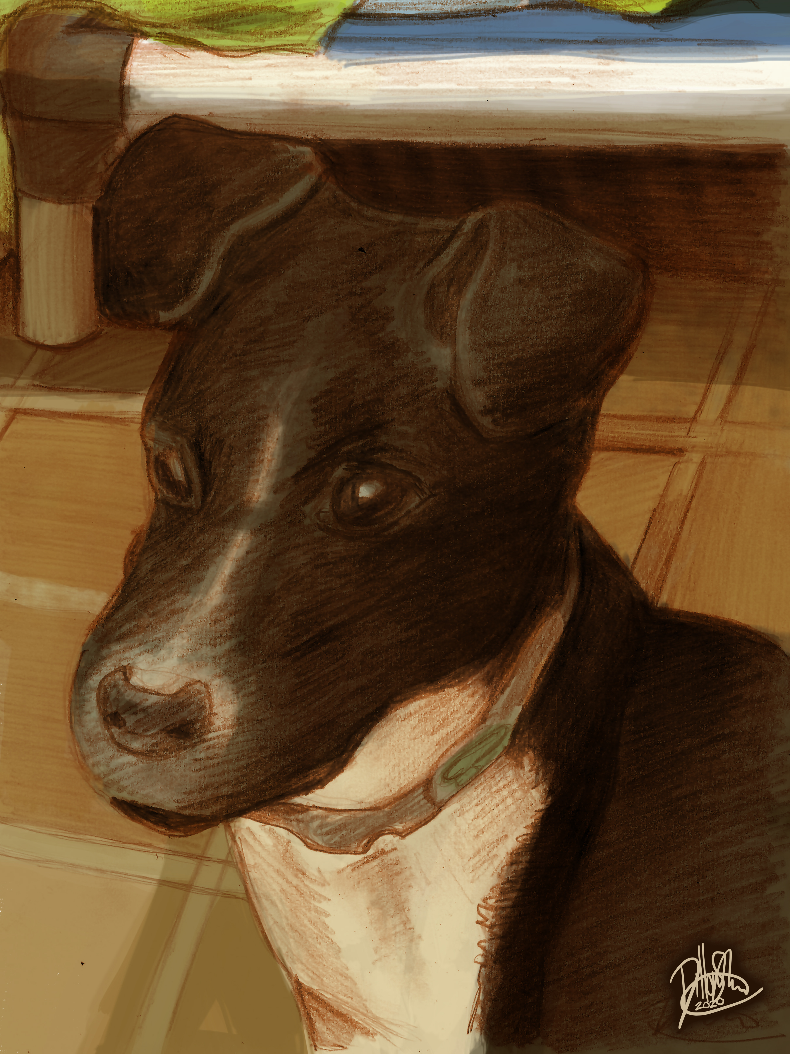 Portrait